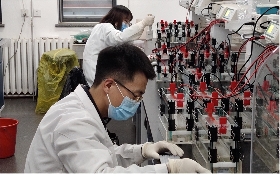 一袋10克的西兰花种子多少钱,一袋西兰花种子多少钱