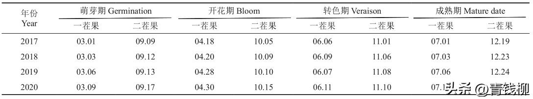瑞都科美葡萄如何拍出奶香味,瑞都科美葡萄苗怎么购买