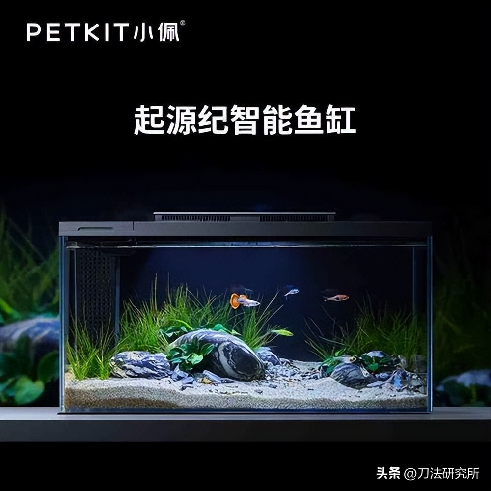 独家专访桂雨濛,独家专访2019