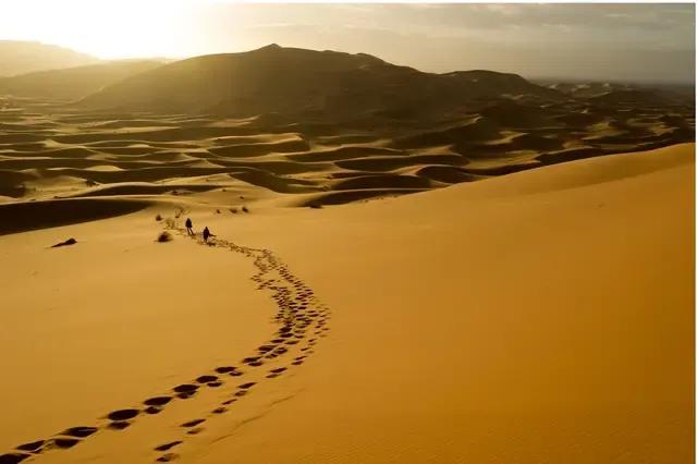 青峰杂谈：人一生的四重自由，世人全得之者有几？