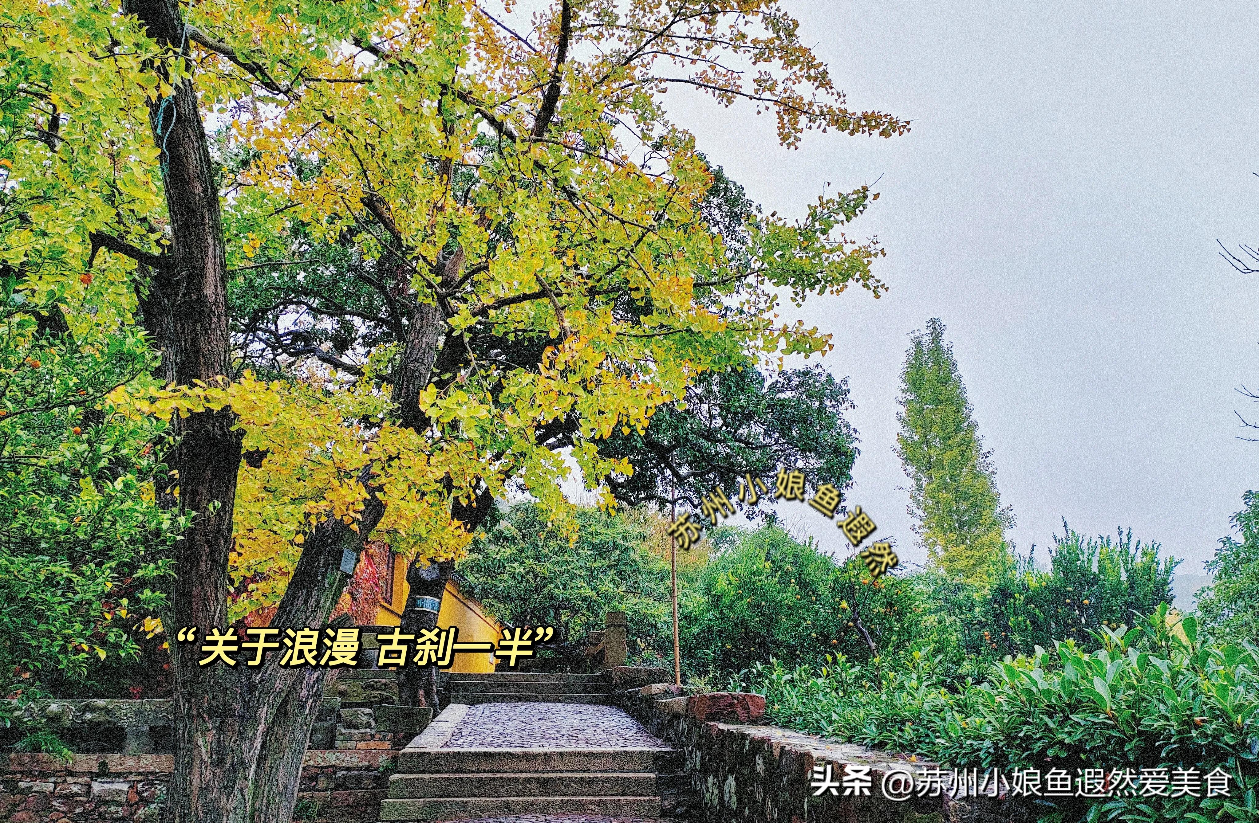 苏州古寨旅游攻略,苏州一日游攻略探索更好玩的景点