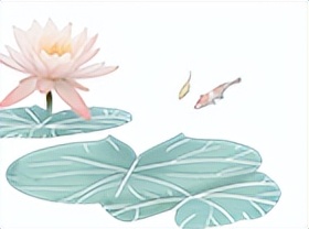 临沂夏日荷花盛开,临沂的荷花火了