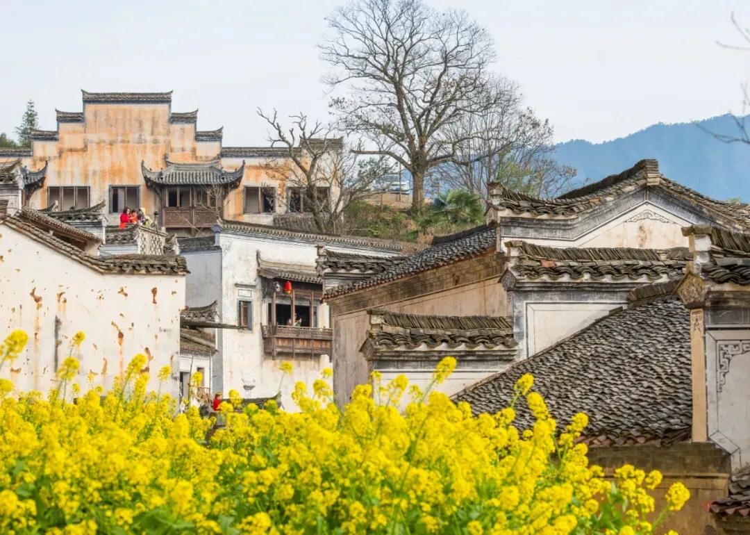 阳台小记,阳台小茶台