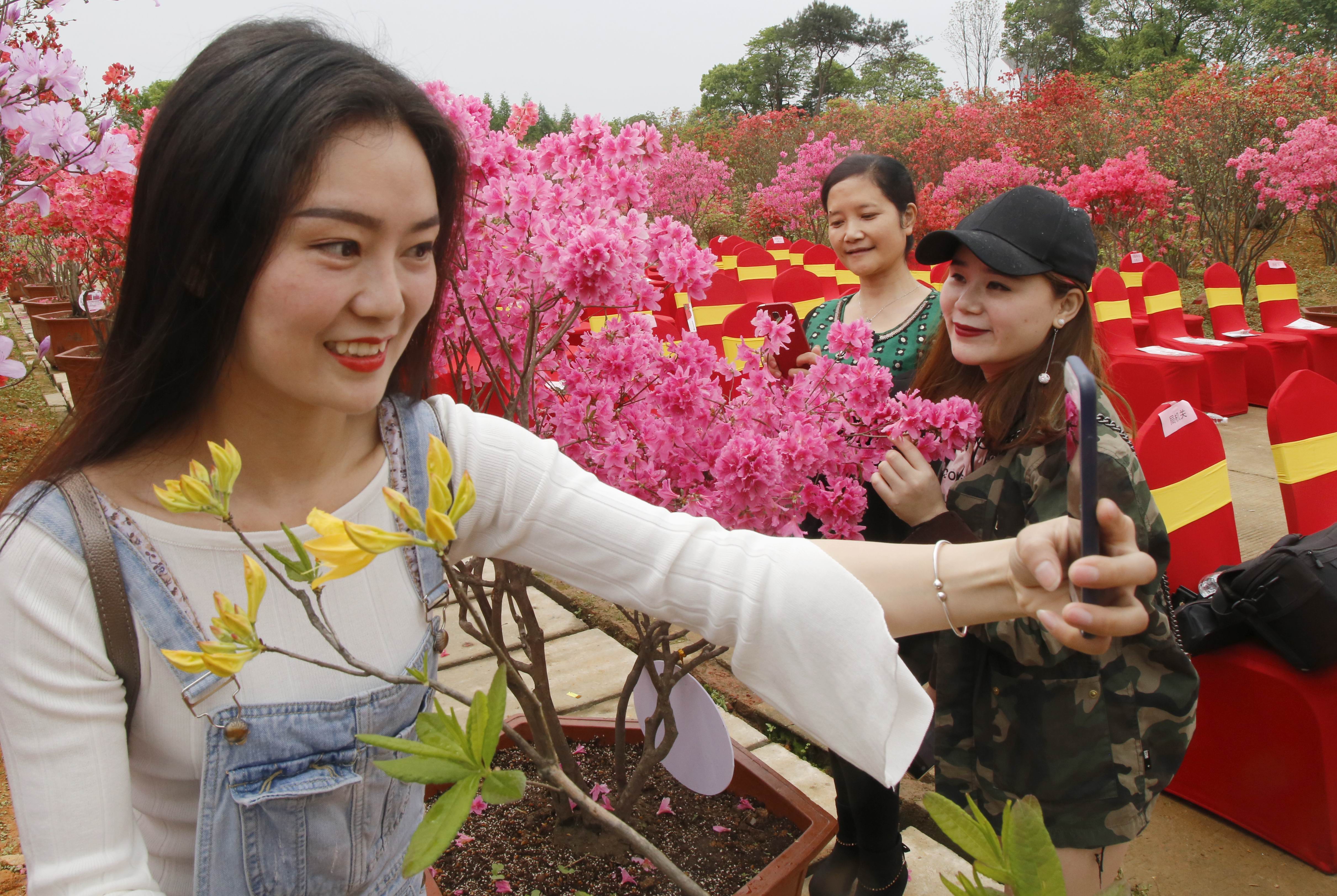 长沙康多多医药,康多多医药代购项目招商会
