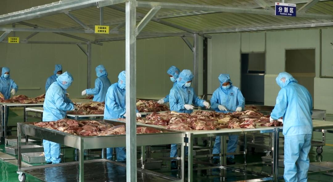 海南儋州洋浦港产业园,儋州工业产值