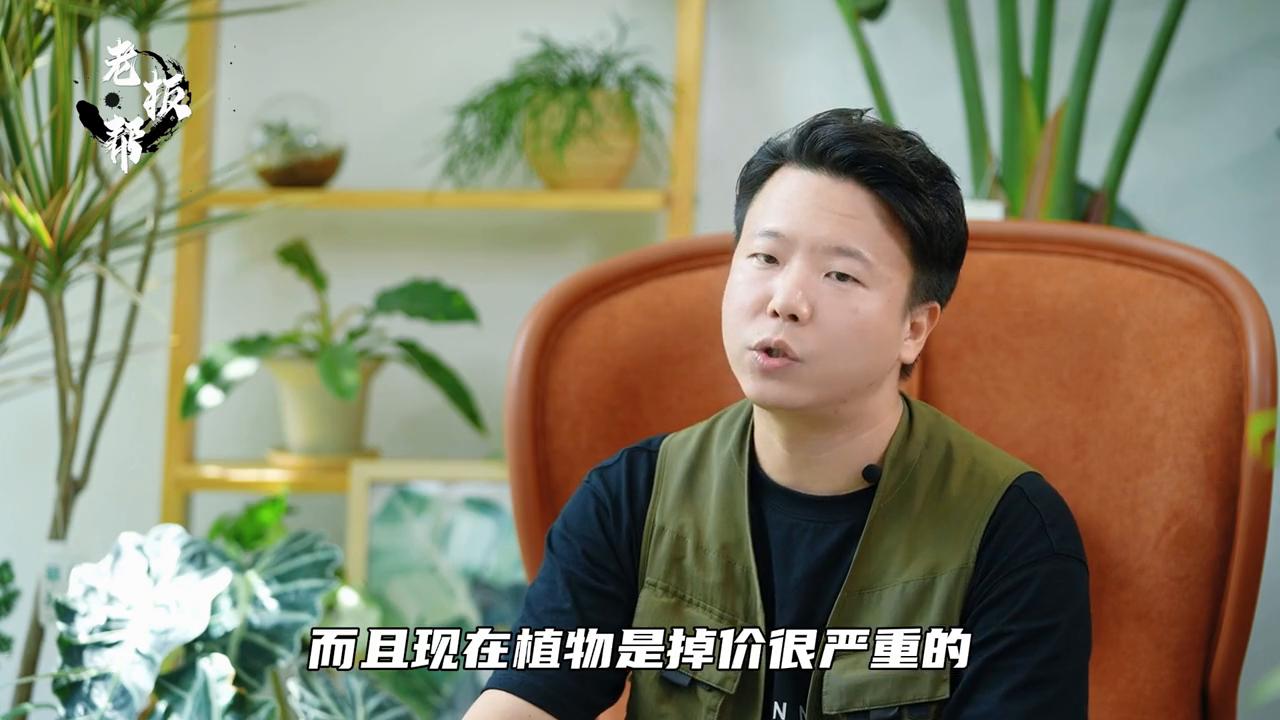 植物店的5种盈利模式,开一家植物店利润