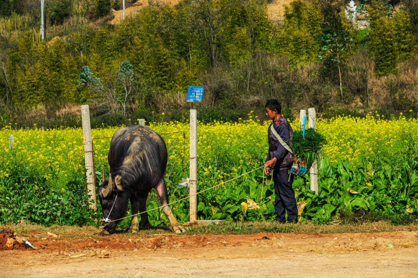 城子古村的传说,世外桃源城子古村