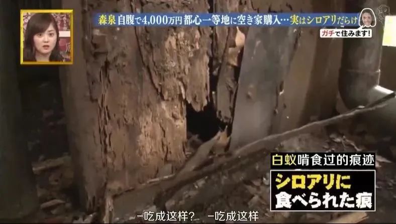 日本林志玲,从模特变包工头!砸4000W买破房,又花500W拆了重装