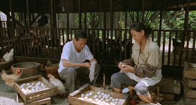 一口气看完国产高分神作,被严重低估的九部国产神作