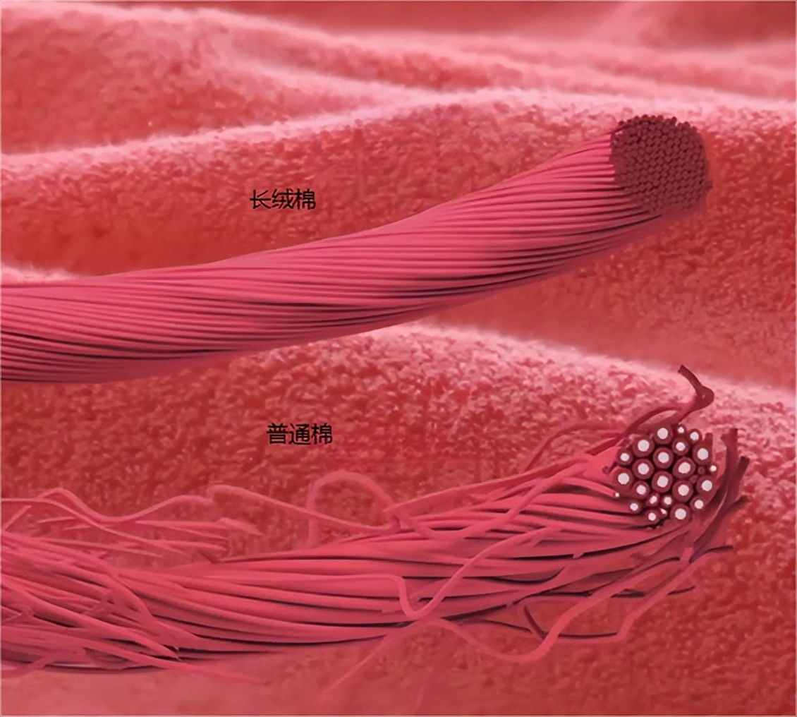 长绒棉今年为什么价格高,市场上卖的长绒棉是真的吗