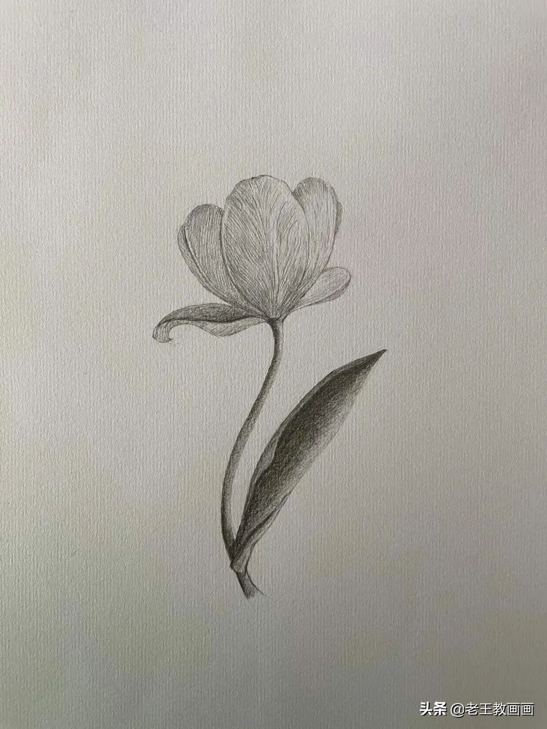 画画教程7-12岁画动漫人物新手,学画画三岁