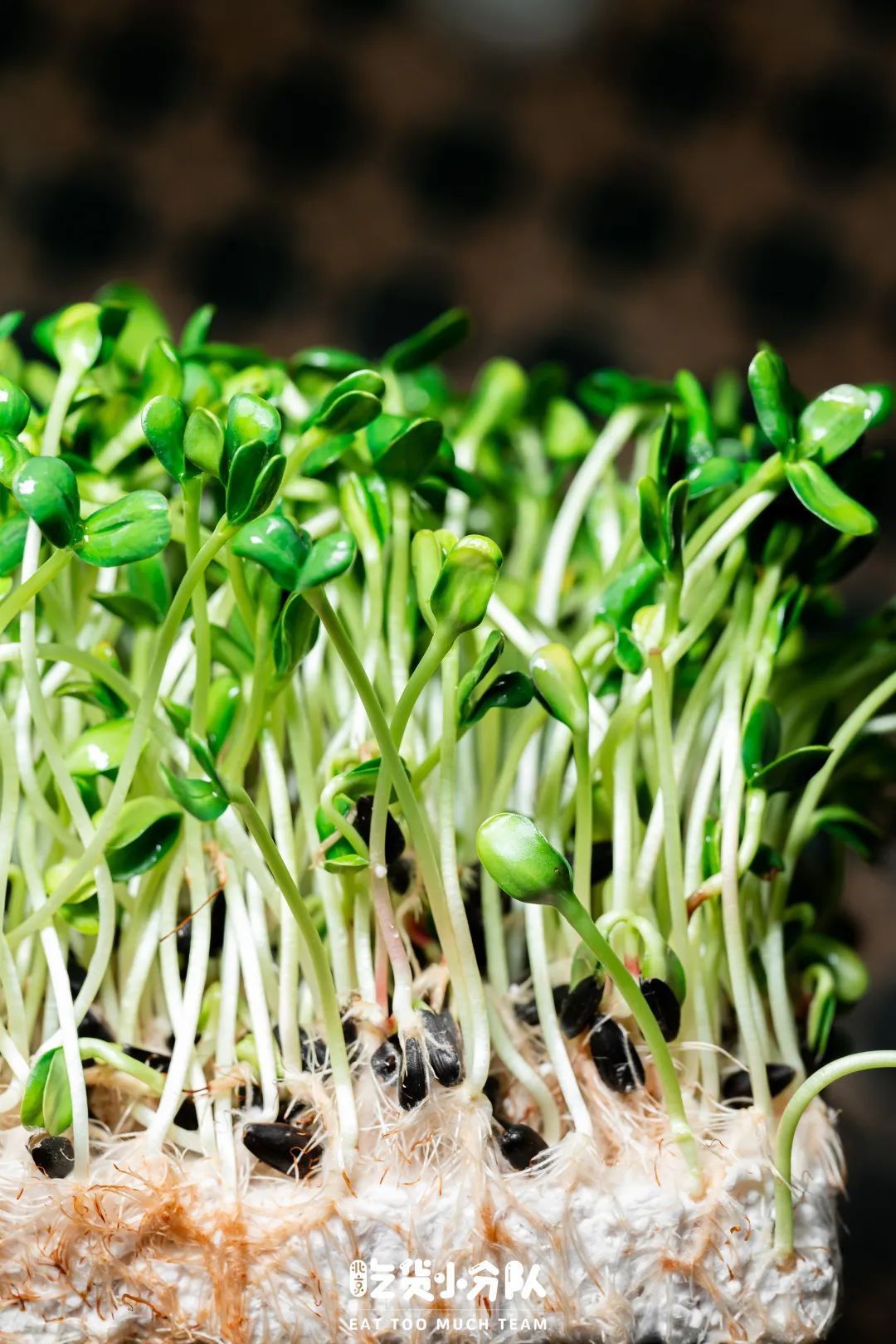 一直在等，北京终于也能吃上这个了