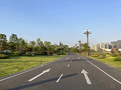 鍒濆涔嬫梾榛勯噾娴峰哺,鍒濆涔嬫梾