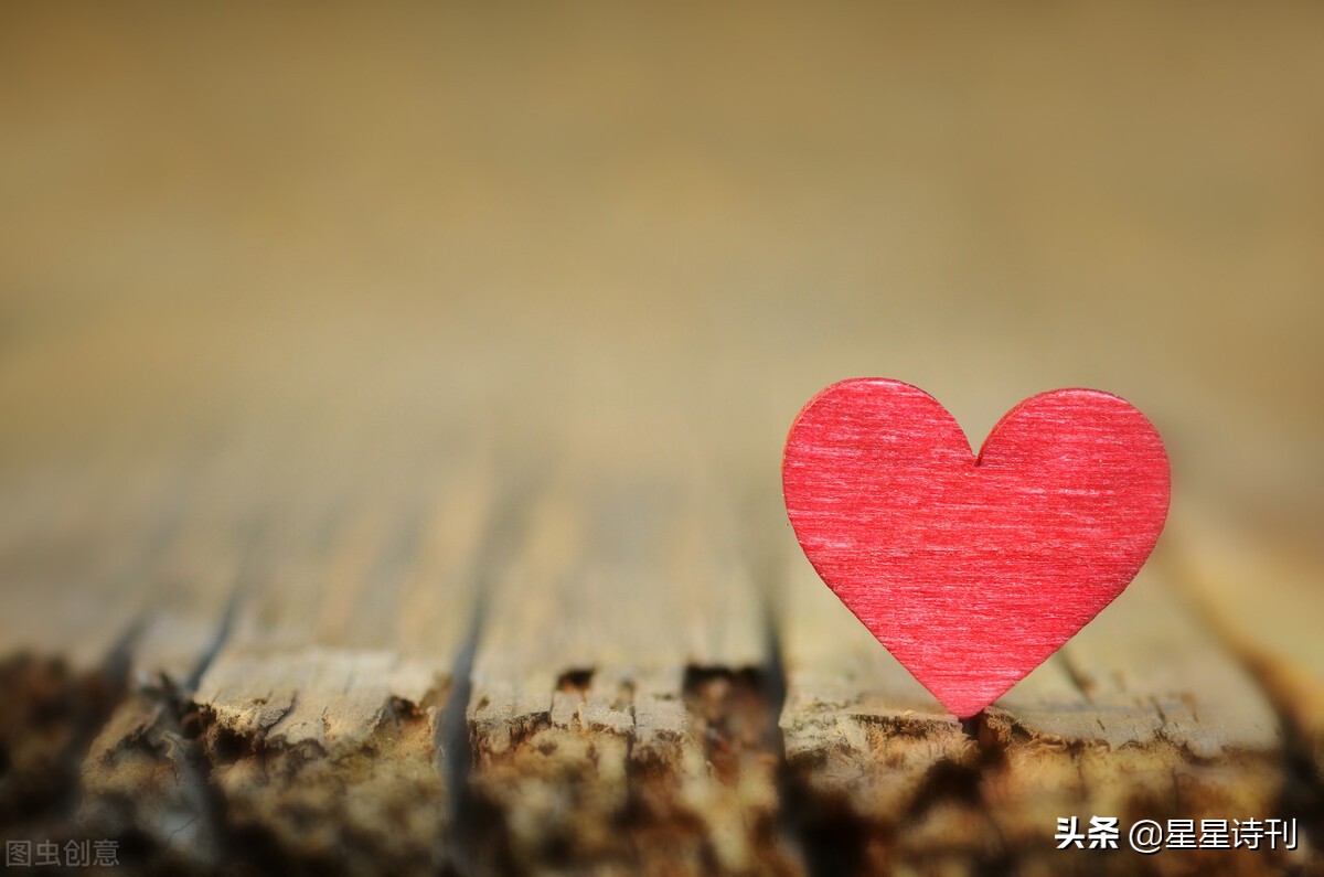 2022短诗大赛,2021年短诗大赛