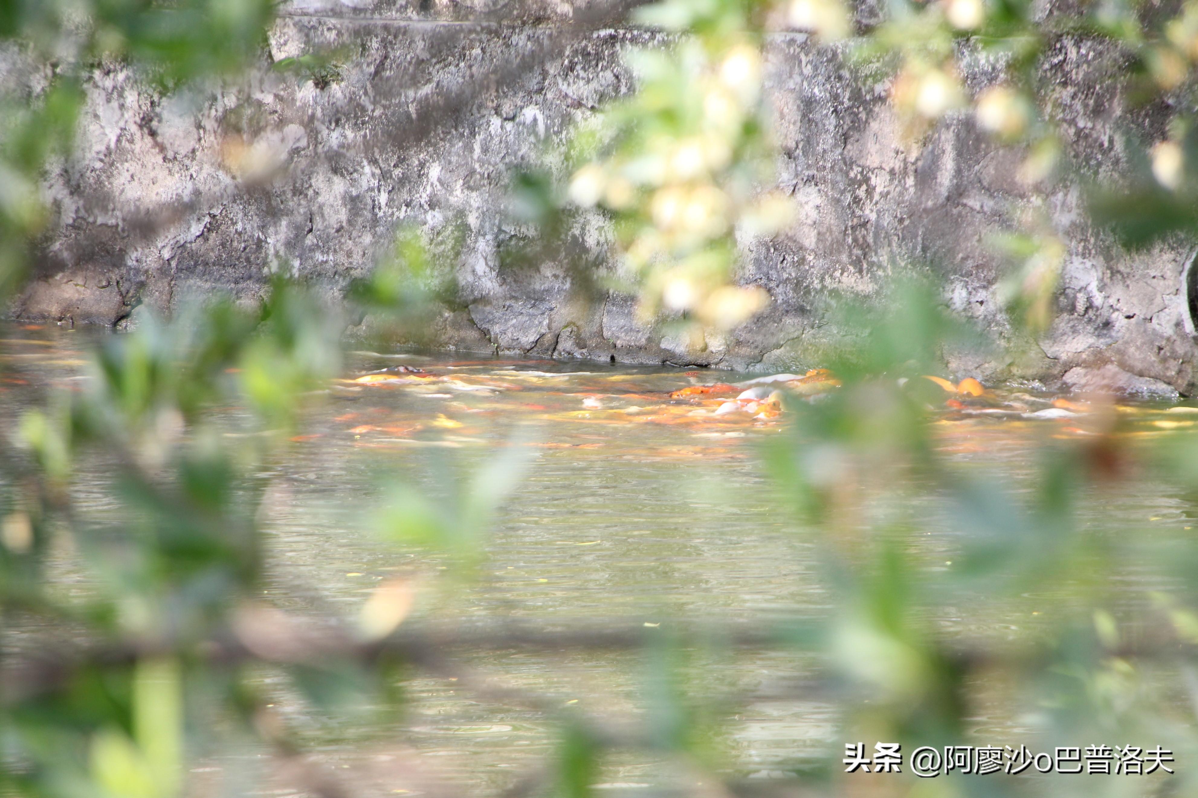 苹果12pm拍摄视频比12更好吗,佳能550d和iphone14拍摄对比