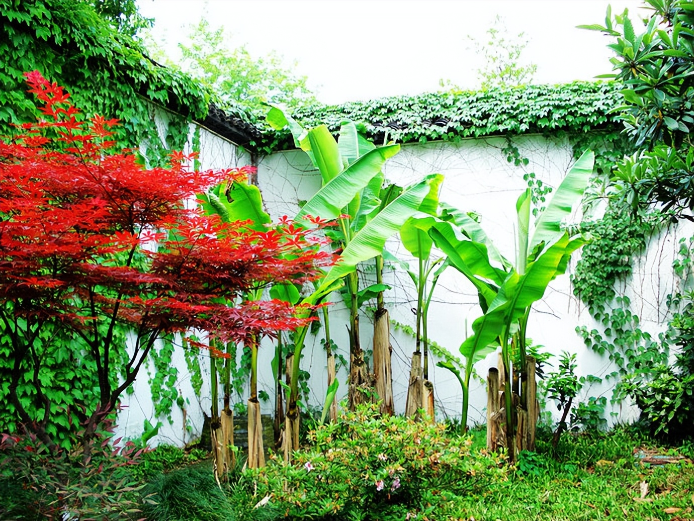 慢游放松体验,杭州慢时光游玩攻略