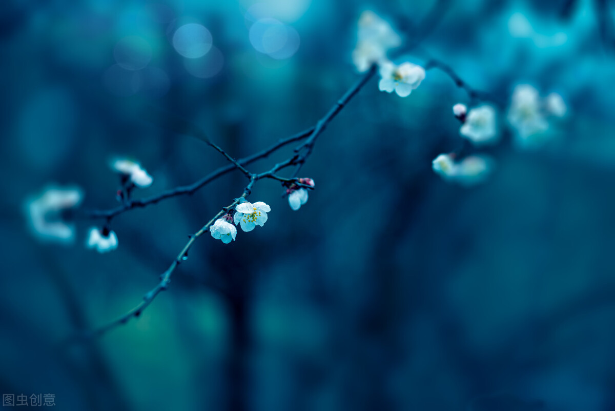 心若从容便是优雅的句子,愿岁月静好优雅而从容