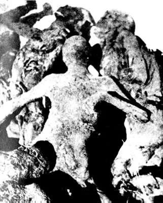 日军在中国犯下的滔天罪行,关于日军在中国犯下的罪行的感悟