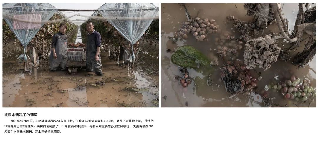 迎接党的20大美术作品,喜迎二十大乡村摄影展