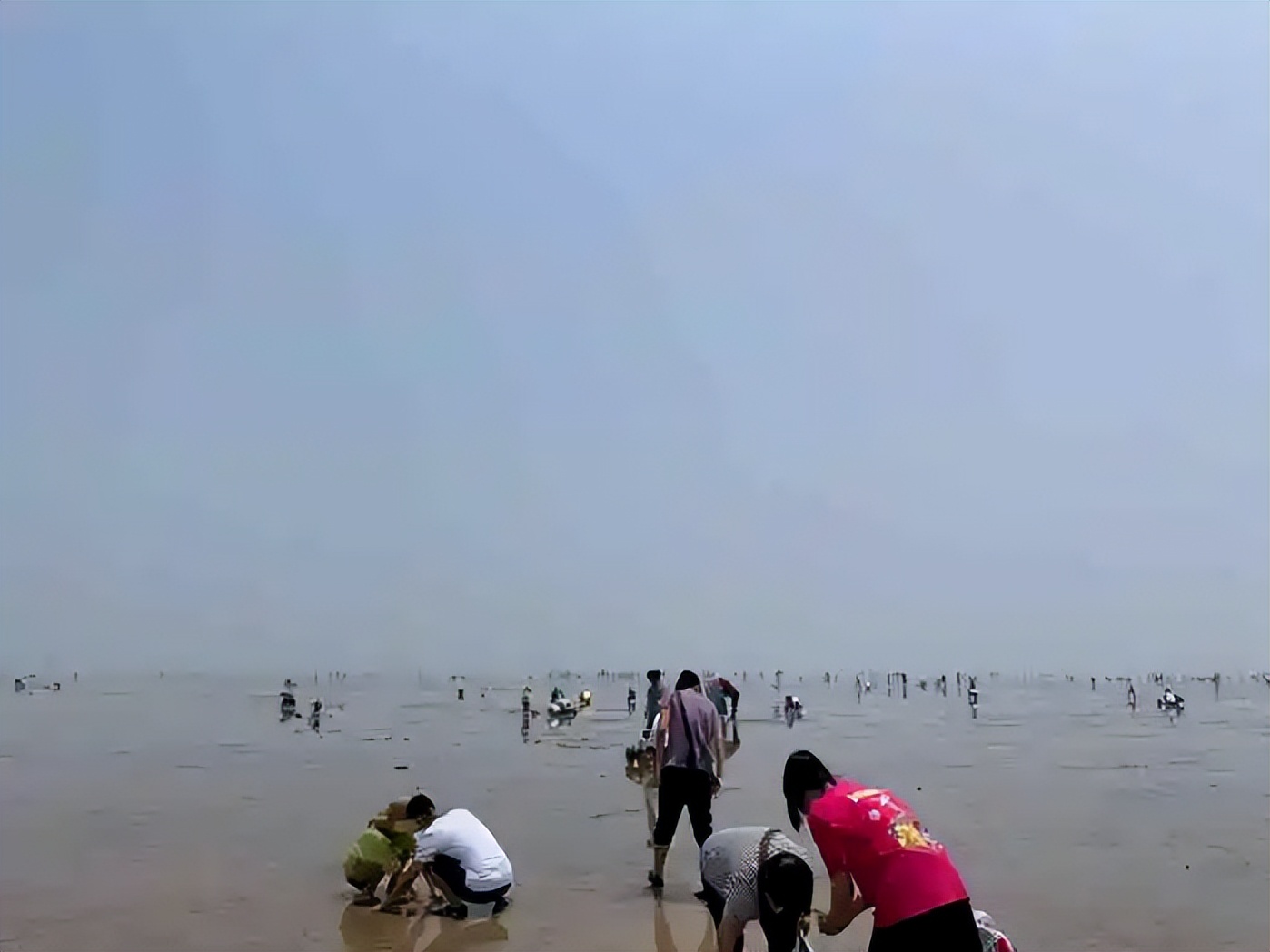 在东营五一假期应该去哪玩,东营人五一旅游攻略自由行