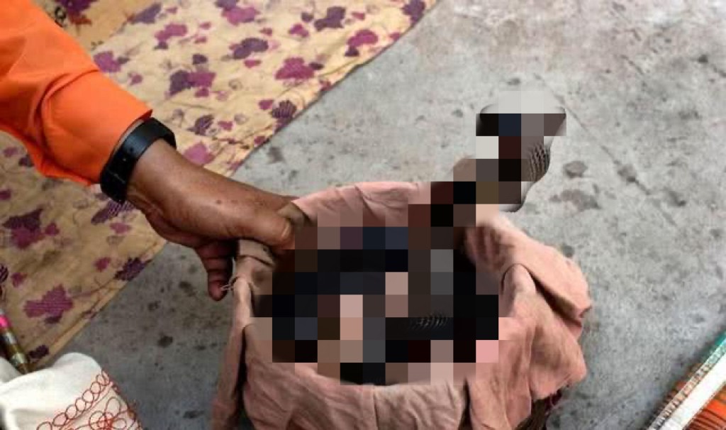 私自养野生蛇,农户私放1000条眼镜蛇