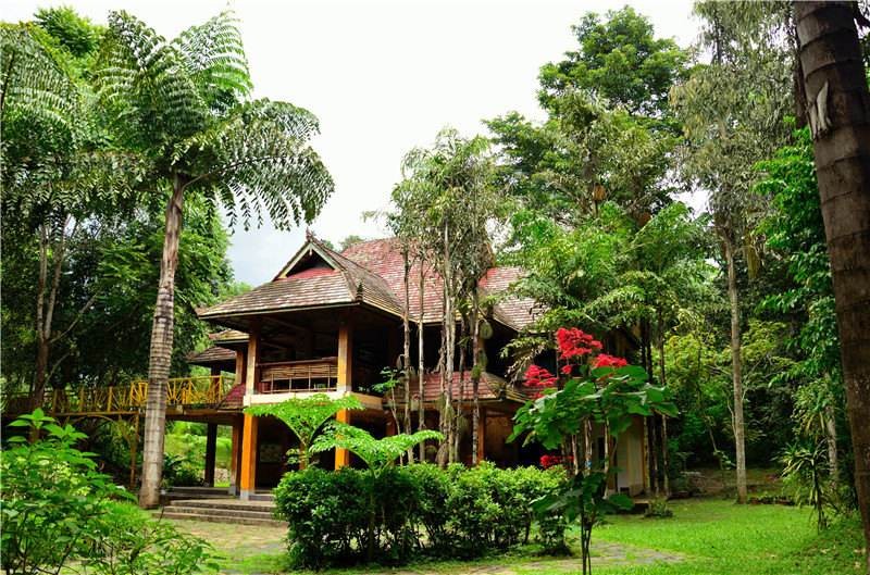 负氧离子含量全国排名景区,负氧离子国内一两万的景点有哪些