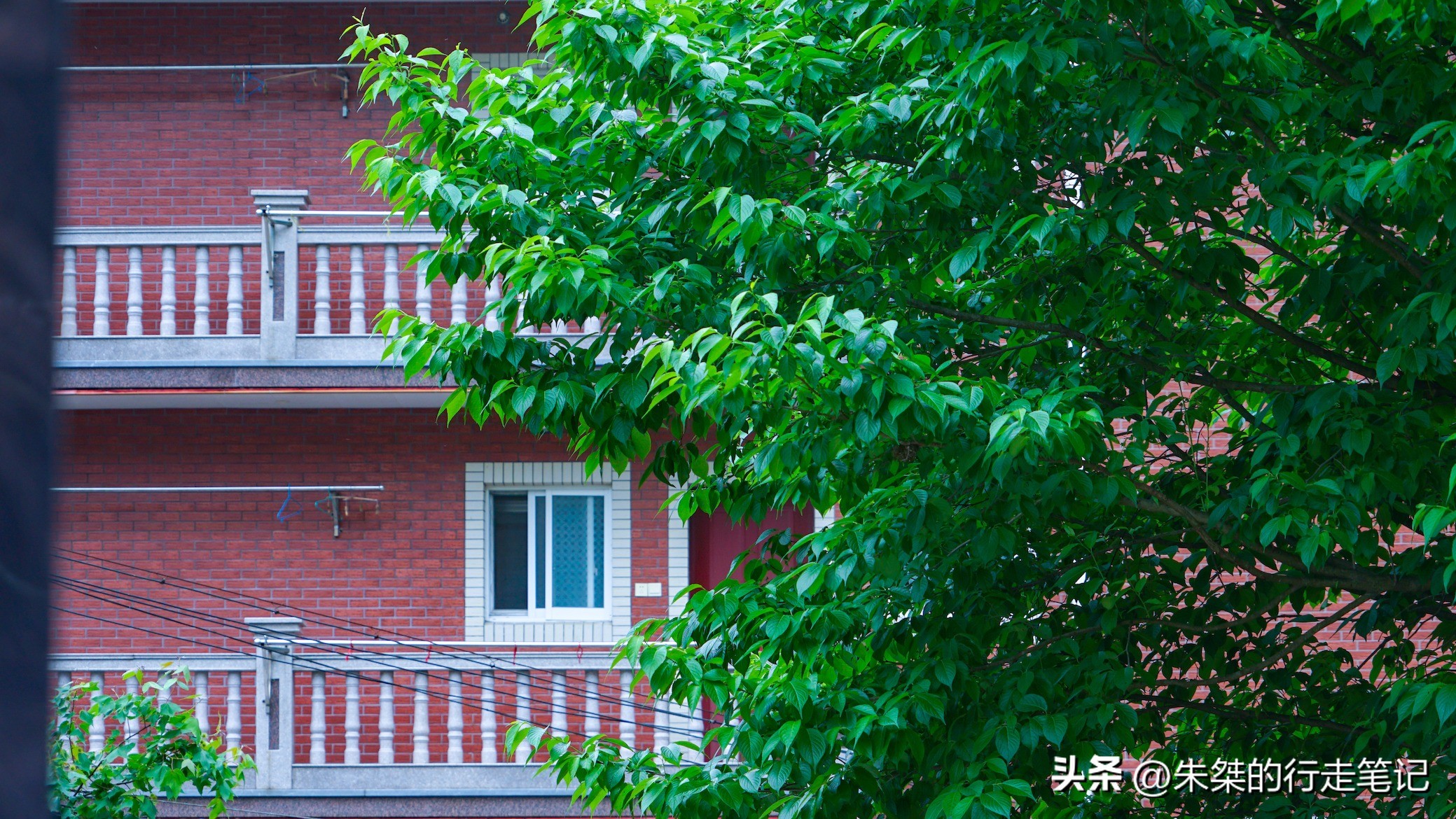 碧瑶山庄安吉口碑农家乐推荐,安吉碧瑶山庄农家乐3天2晚多少钱