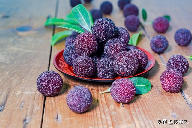 杨梅酒,杨梅酒的泡制方法