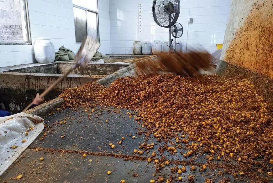 为什么散酒比瓶装酒更好喝呢,散酒和瓶装酒的区别