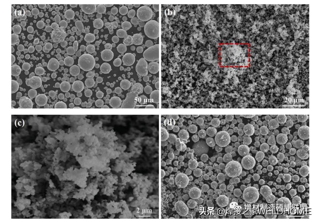 昆西兰大学+西工大丨激光增材制造高强度异质结构铜合金