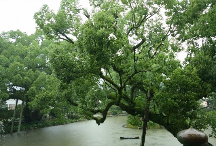 虎丘山风景区一日游攻略,虎丘山风景门票