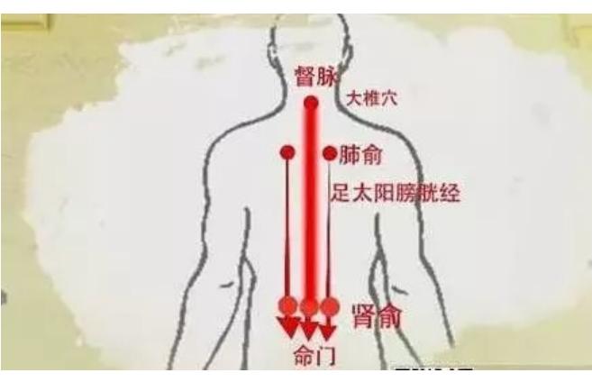 怀孕的征兆前期能测出来么,怀孕的预产期该怎样算才准