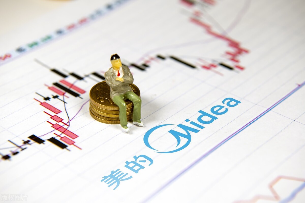 国家队重仓科技股龙头,国家队重仓龙头