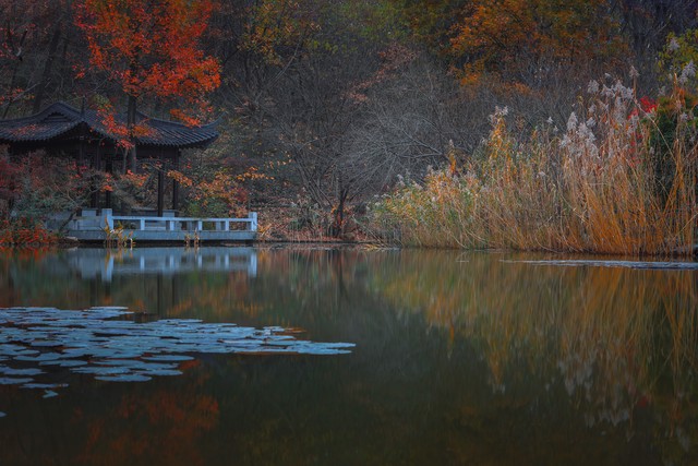 如何处理好邻里关系对于坏邻居该怎么办