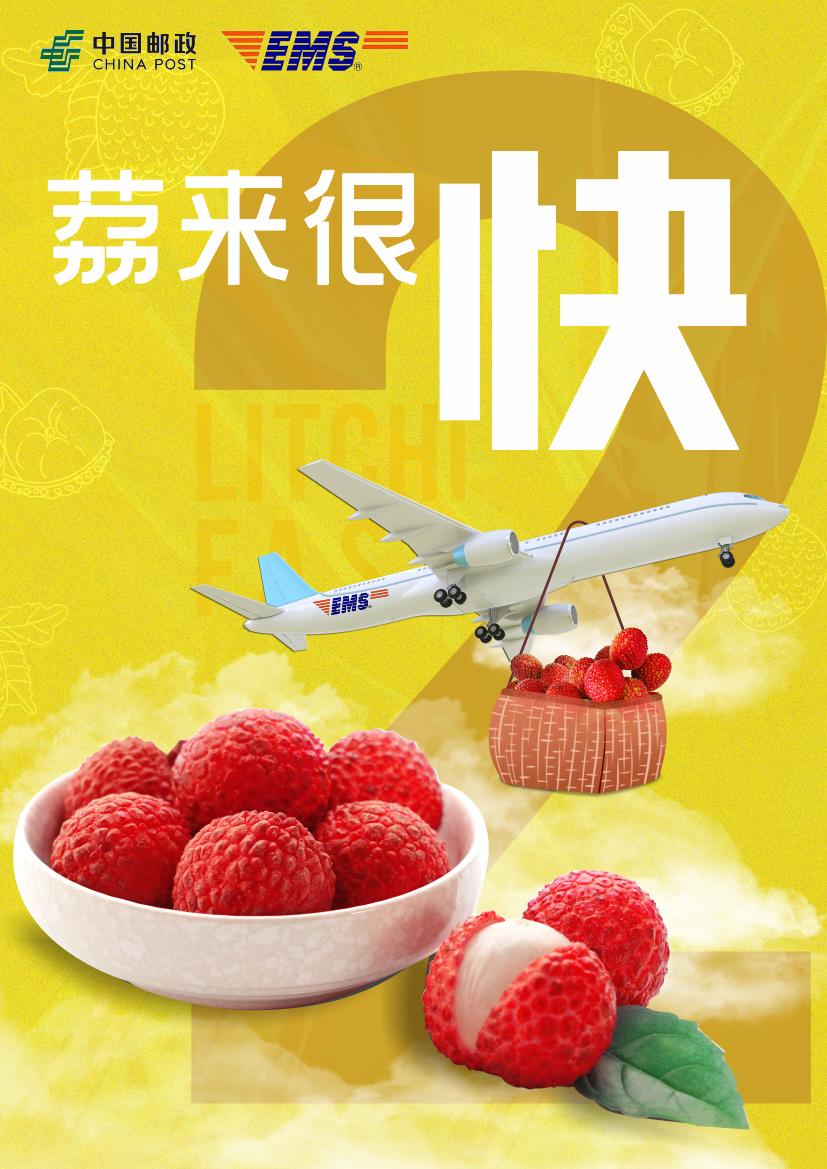 品牌设计成功案例分析,品牌创业设计案例分享