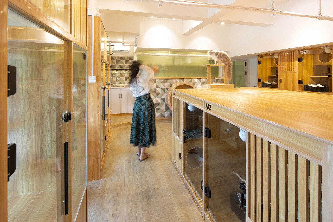 想开一家宠物店有没有经验怎么办,无经验怎么开宠物店赚钱呢