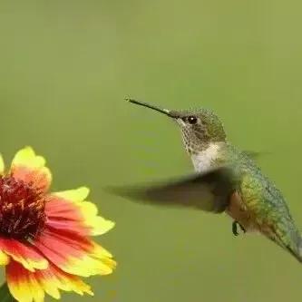 买衣服可以退吗实体店,买衣服实体店好还是网店好