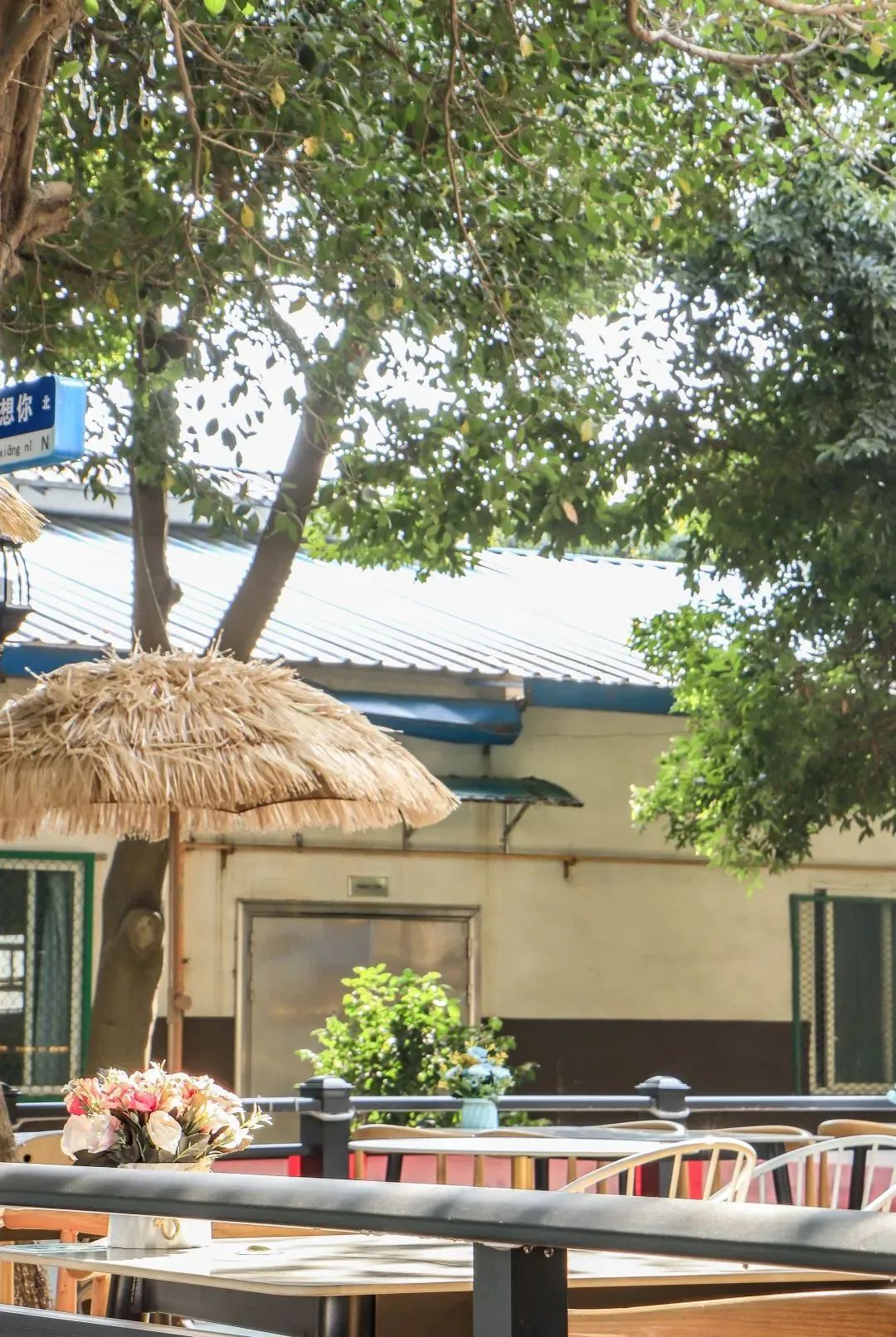 在成都读大学好就业吗,在成都读研究生是什么体验