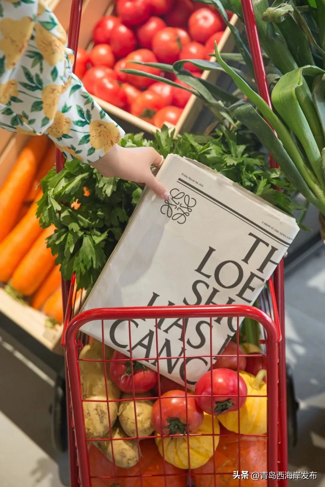 现实版小森林，这些藏在西海岸周边的乡野太治愈