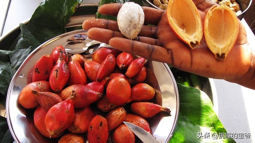 身处非洲，物种孤立进化的马达加斯加，各种奇瓜异果满岛飘香