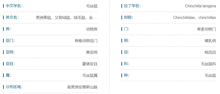 什么宠物对纯素食者最好,好养且可以食用的宠物有哪些
