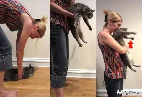 猫咪吃东西被噎住,猫咪吃东西卡住怎么救