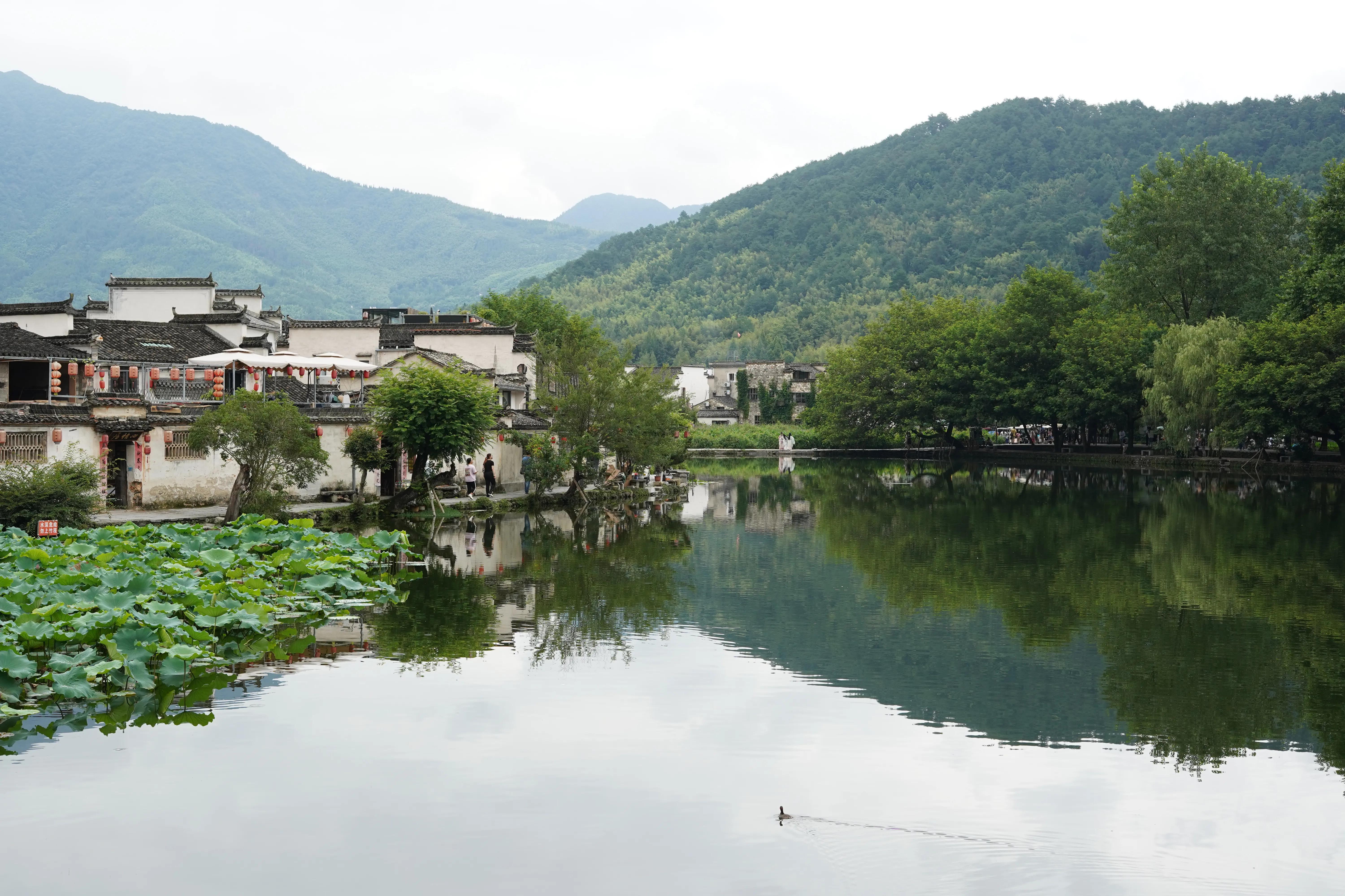 游黄山跟宏村的感受,游黄山的宏村要多长时间