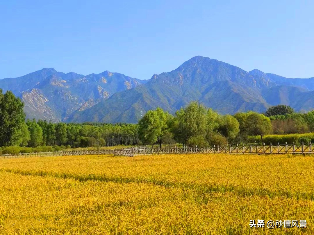 <html>
<head><title>502BadGateway</title></head>
<body>
<center><h1>502BadGateway</h1></center>
<hr><center>nginx</center>
</body>
</html>
<!--apaddingtodisableMSIEandChromefriendlyerrorpage-->
<!--apaddingtodisableMSIEandChromefriendlyerrorpage-->
<!--apaddingtodisableMSIEandChromefriendlyerrorpage-->
<!--apaddingtodisableMSIEandChromefriendlyerrorpage-->
<!--apaddingtodisableMSIEandChromefriendlyerrorpage-->
<!--apaddingtodisableMSIEandChromefriendlyerrorpage-->
