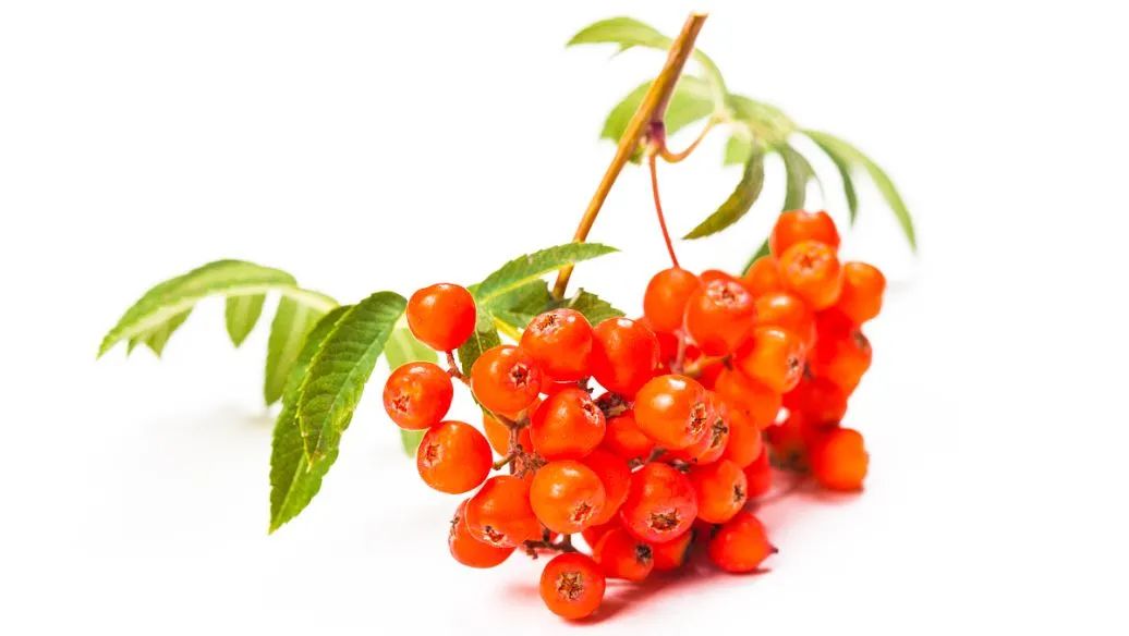 肤色暗黄治疗的方法,暗黄肤质如何调节