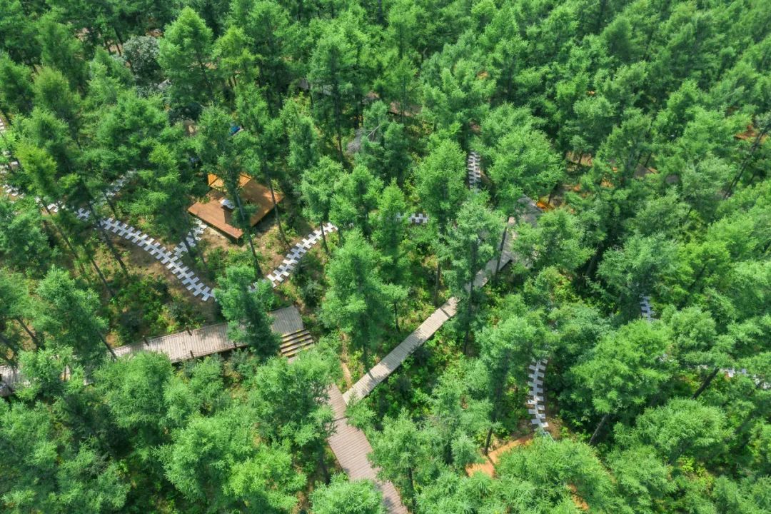 夏幽·嗨玩|全部免费！莲花山徒步宝藏地推荐！