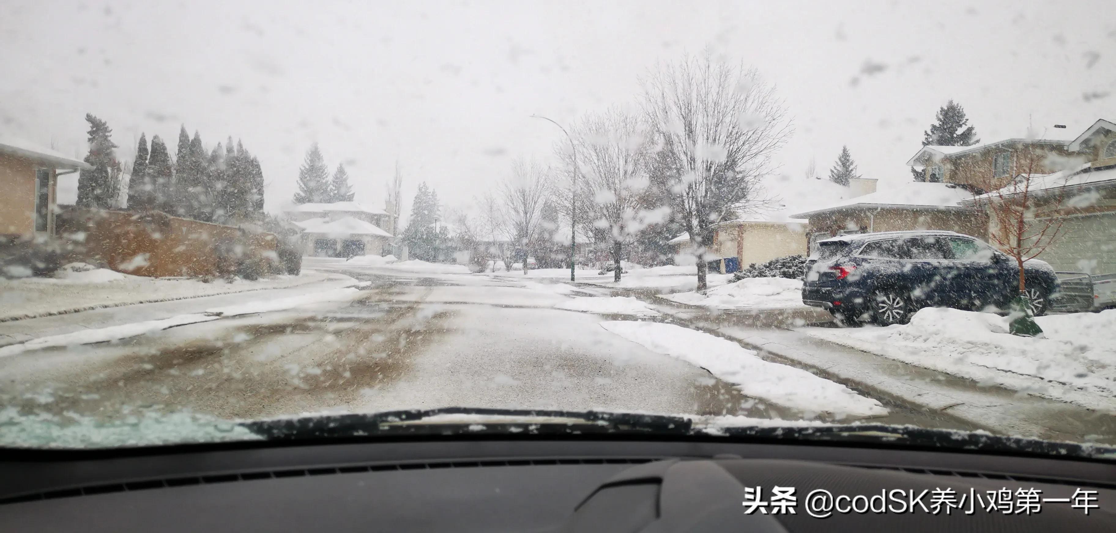 在加拿大送快餐赚钱吗,在国外送外卖真的工资那么高吗