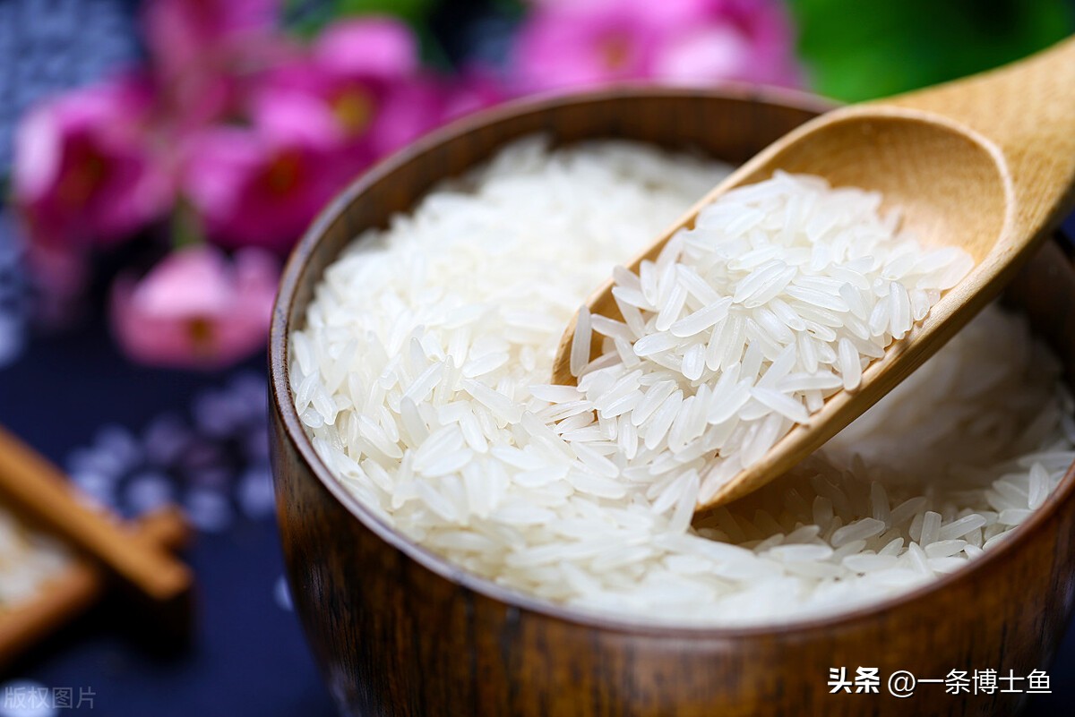 泰国香米和五常大米测评,五常大米和泰国香米推荐