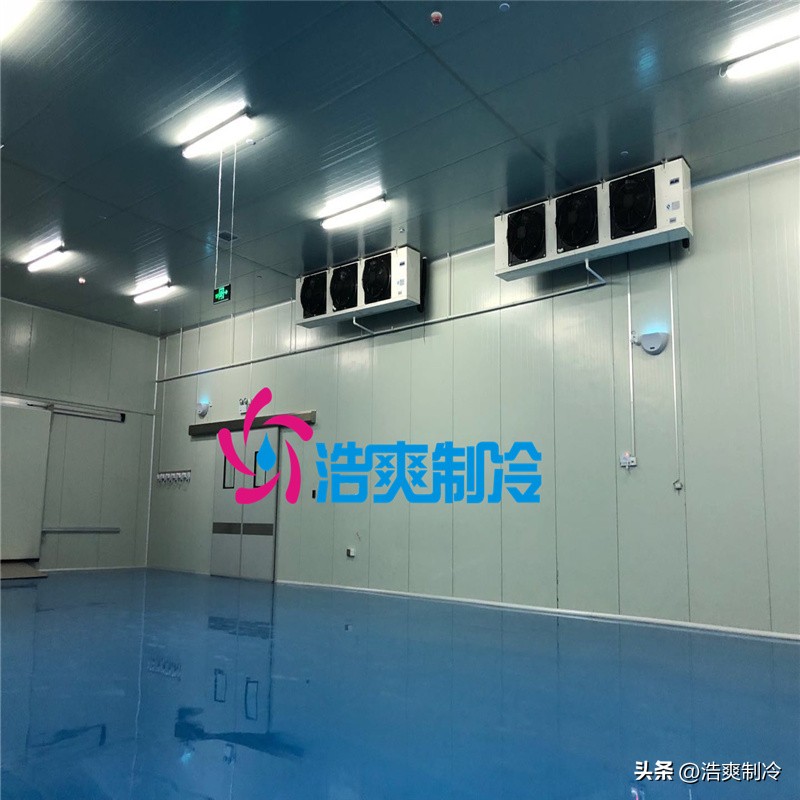 浩爽安装体外诊断试剂GMP厂房的制冷设备专业建造