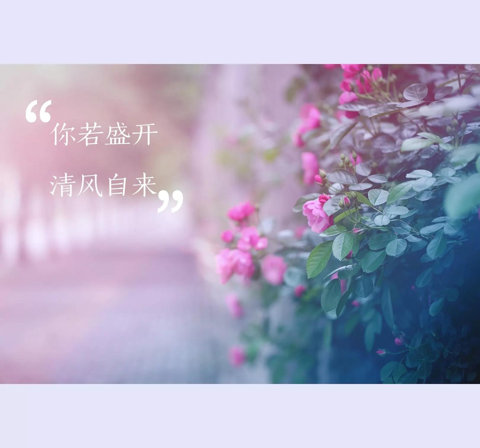 如何用营销思维做好产品运营规划,产品运营策略和营销方案